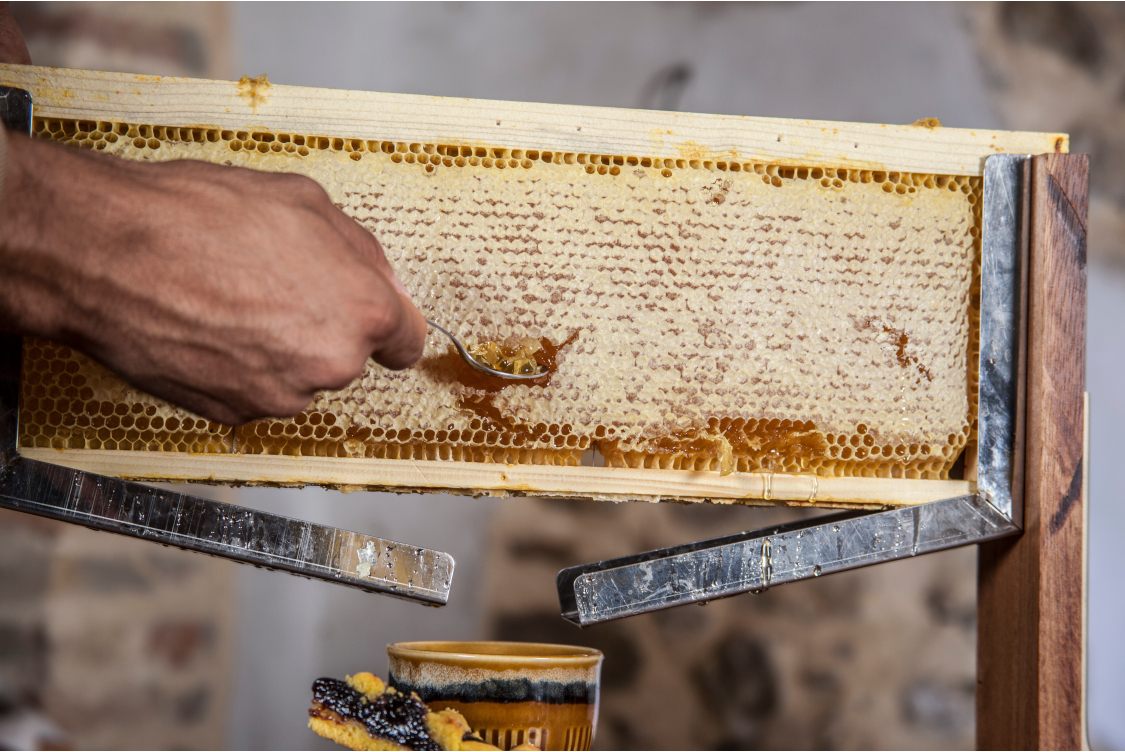 mano con il cucchiaio di Andrea Montecchia mentre raccoglie il miele dal favo a Teramo in Abruzzo