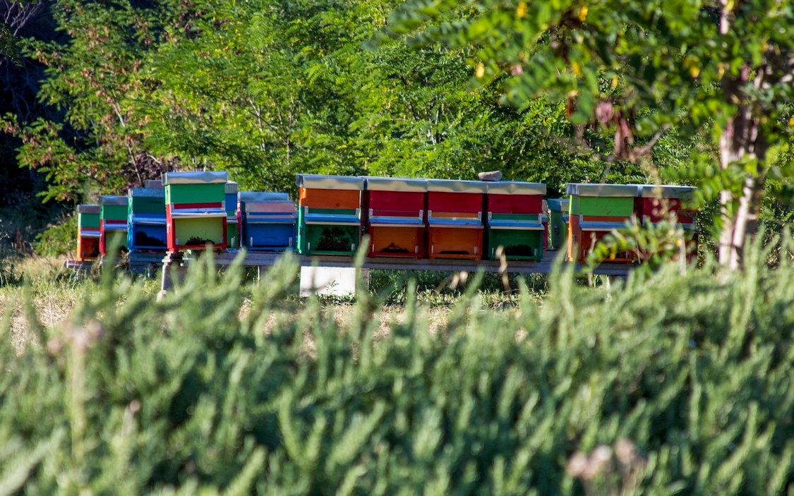 arnie per le api di legno colorate in aperta campagna nelle colline teramane in Abruzzo produzione di miele bio Bottega Montecchia